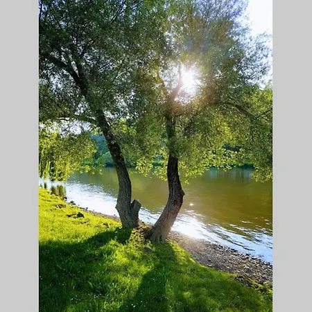 Ferienwohnung 'Burgblick' Wertheim Extérieur photo